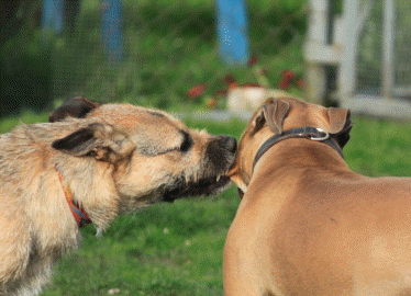 Spike+Lena